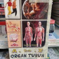 Image of A to Z Organ Tubuh