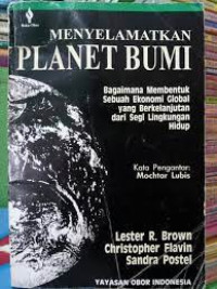 Image of MENYELAMATKAN PLANET BUMI : BAGAIMANA MEMBENTUK SEBUAH EKONOMI GLOBAL YANG BERKELANJUTAN DARI SEGI LINGKUNGAN HIDUP