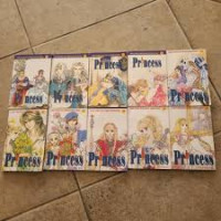 Image of PRINCESS 12
